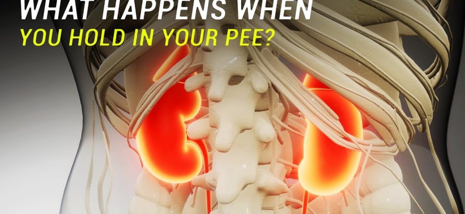 What happens when you hold urine for too long? The consequences can be serious