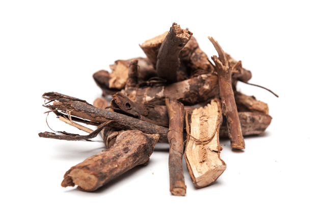 What helps and useful properties of rosehip root