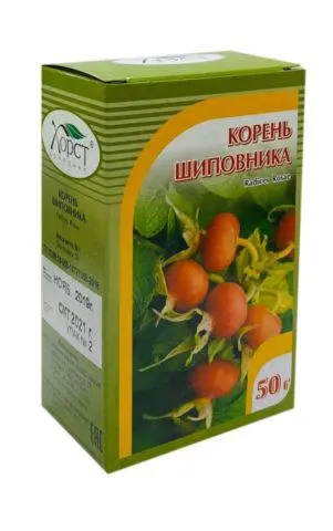 What helps and useful properties of rosehip root