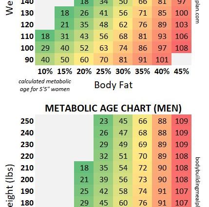 What influences metabolic age?