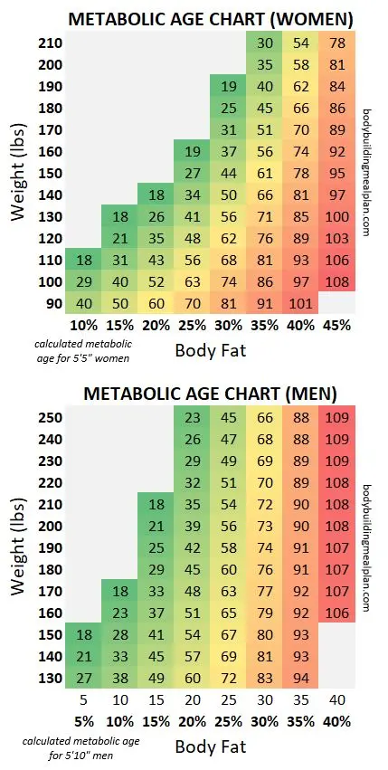 What influences metabolic age?