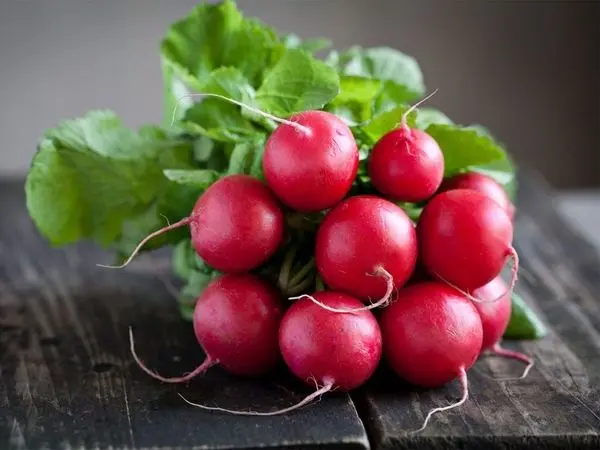 What is a root crop, what are the types: potatoes, carrots, parsnips, celery, radishes, Jerusalem artichoke + composition