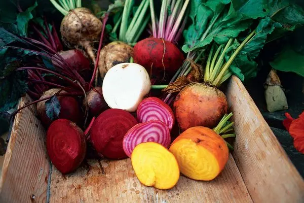 What is a root crop, what are the types: potatoes, carrots, parsnips, celery, radishes, Jerusalem artichoke + composition