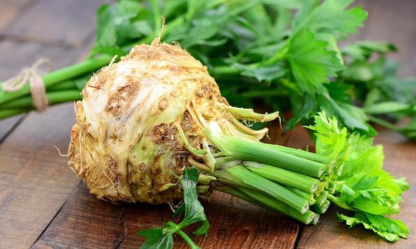 What is a root crop, what are the types: potatoes, carrots, parsnips, celery, radishes, Jerusalem artichoke + composition