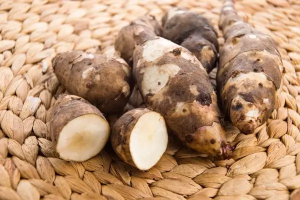 What is a root crop, what are the types: potatoes, carrots, parsnips, celery, radishes, Jerusalem artichoke + composition