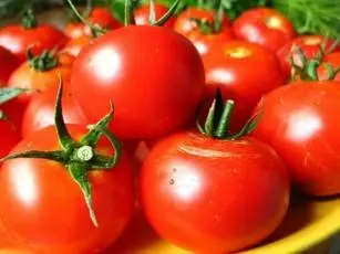 What is a semi-determinate tomato variety