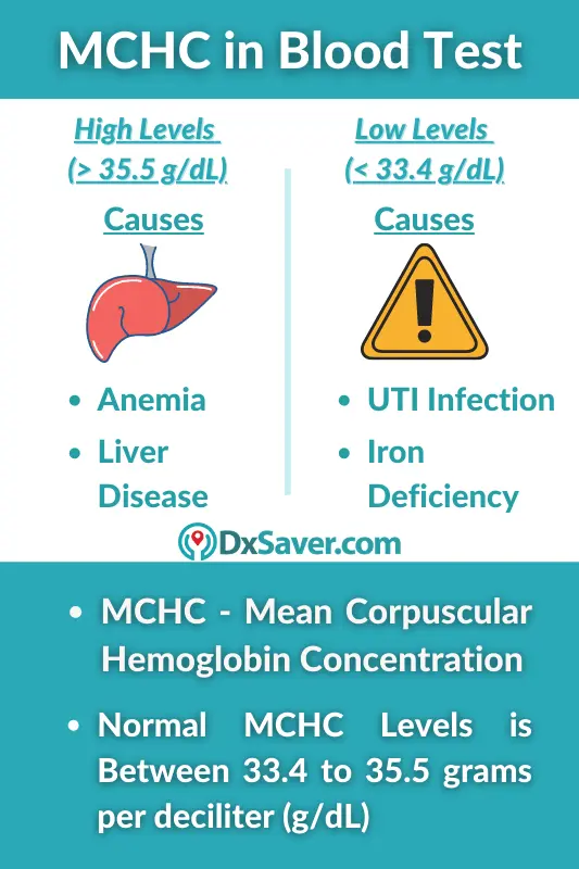 What is a Sub-Normal MCHC?