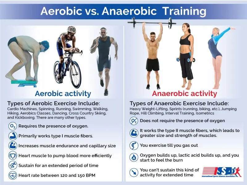 What is Aerobic Training?