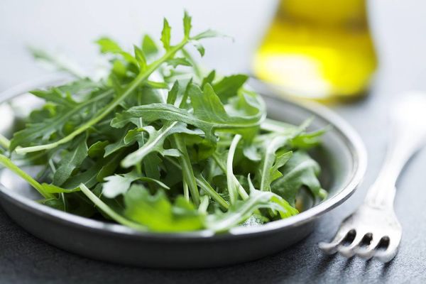 What is arugula: description, best varieties, composition, benefits and harms + use in home cosmetology and cooking