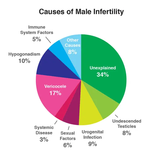 What is caused by male infertility?