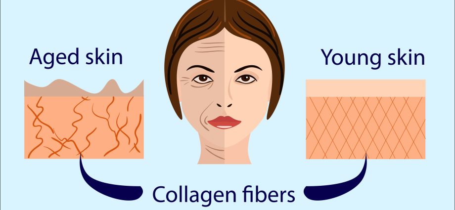 What is collagen and how does it work on facial skin?