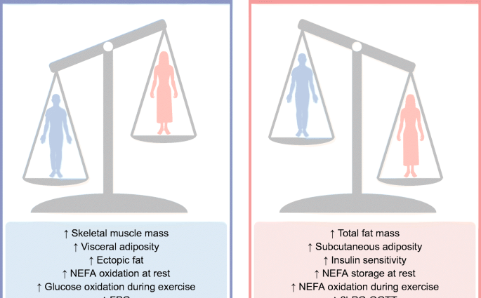 What is conducive to the development of diabetes? An important difference between women and men