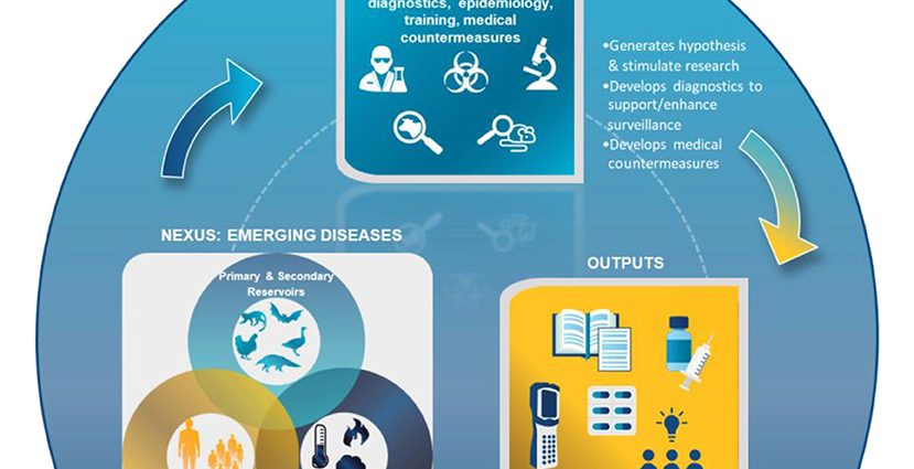 What is epidemiological surveillance? How long does it last and who does it apply to?