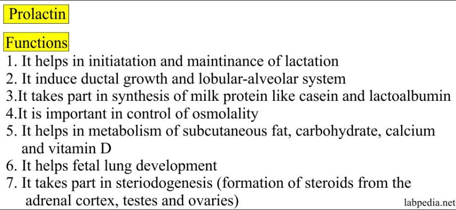 What is functional hyperprolactinaemia?