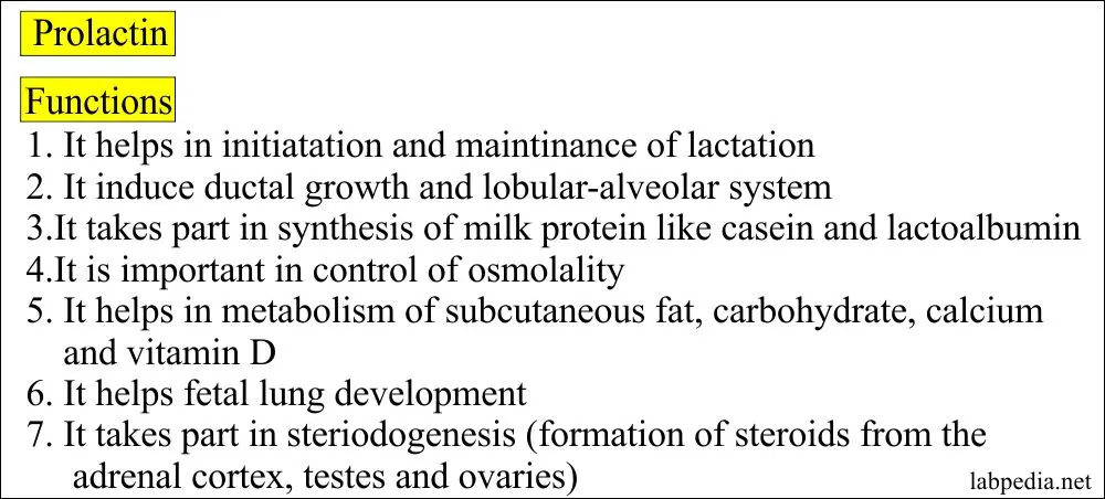 What is functional hyperprolactinaemia?