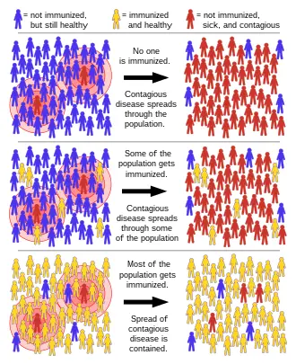 What is herd immunity?