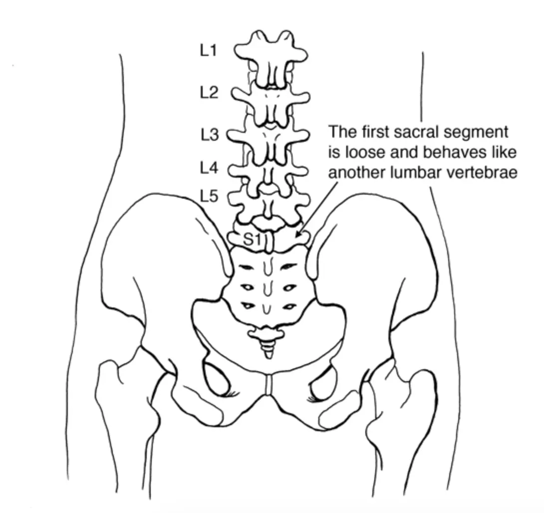 What is lumbalization?