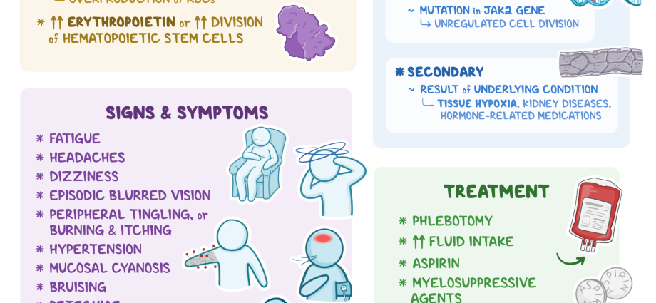 What is polycythemia?