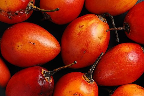 What is tamarillo: description, types, composition, benefits and harms, use in cooking + growing at home