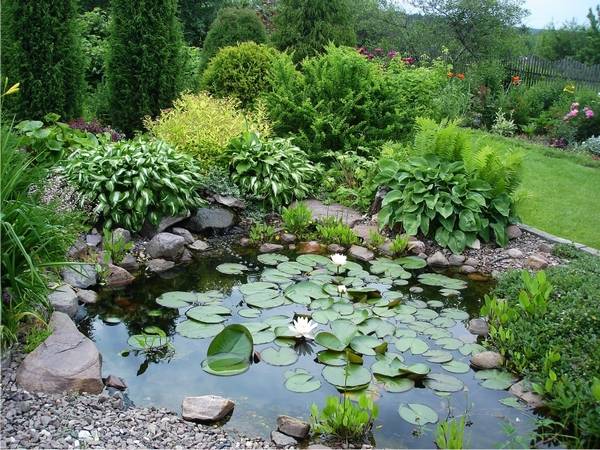 What is the best combination of hostas in landscape design