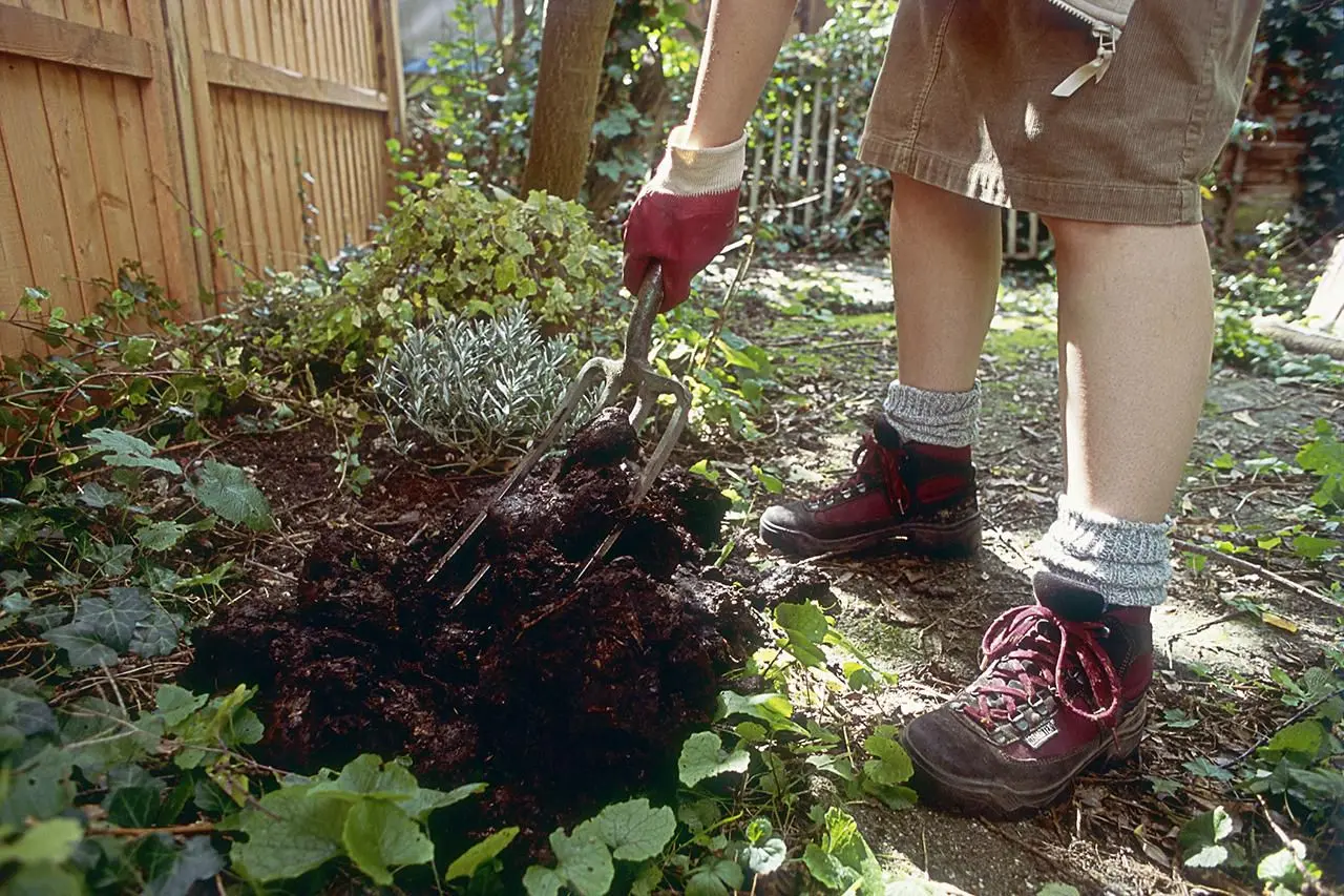 What is the best manure for the garden: features of proper fertilizer