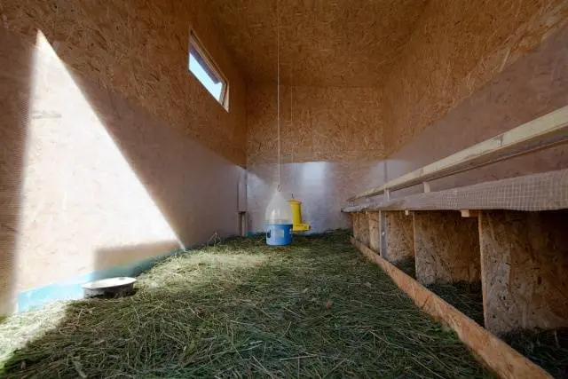 What is the best to make floors in a chicken coop