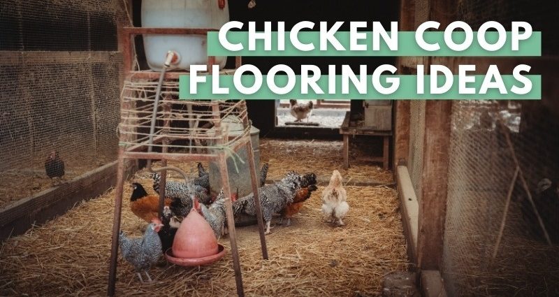 What is the best to make floors in a chicken coop