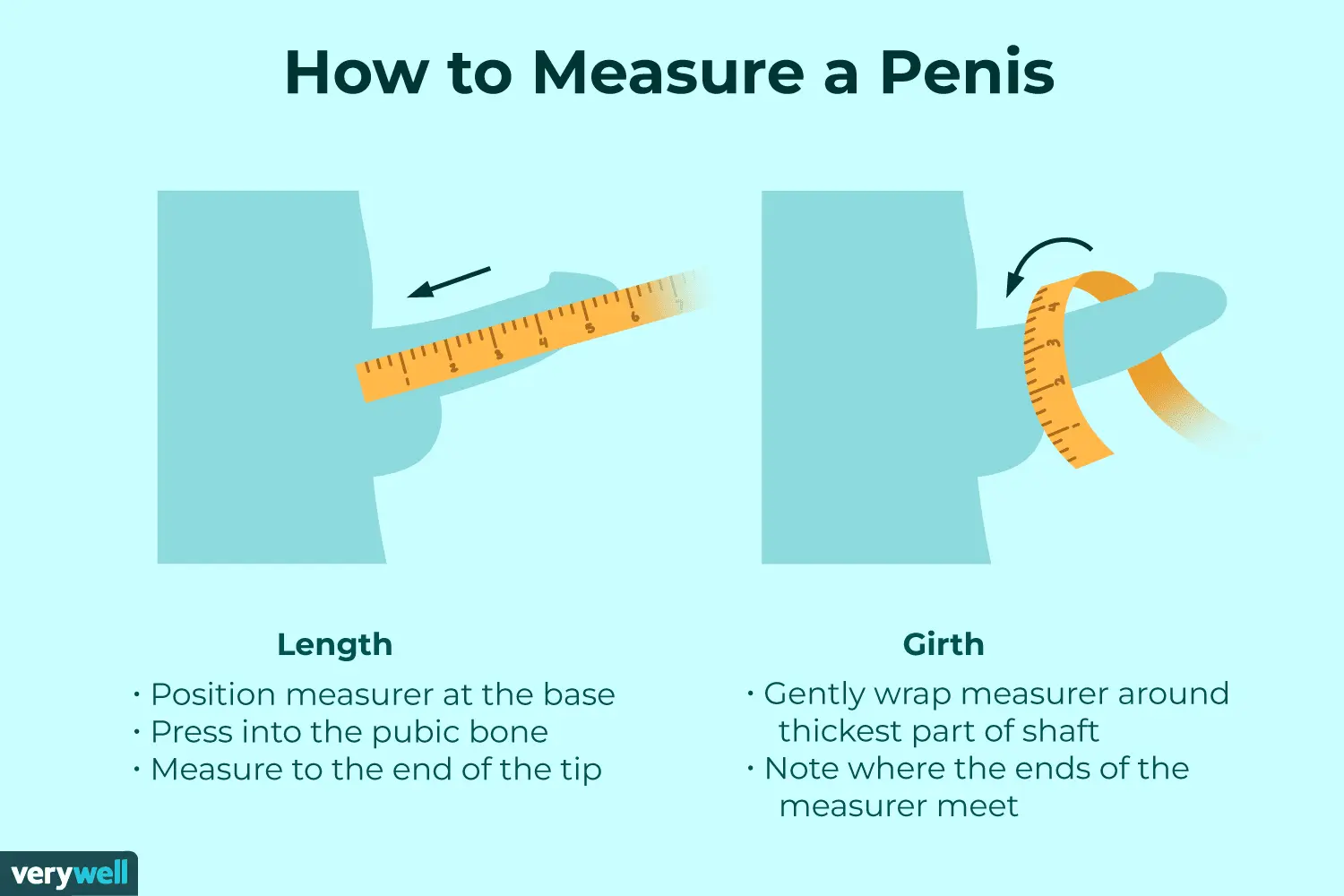 What is the correct penis length? Check that you are within the normal range