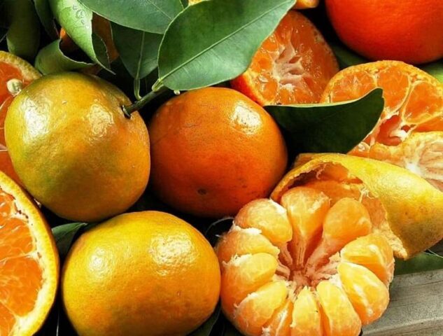 What is the difference between an orange and a tangerine: what is tastier and healthier