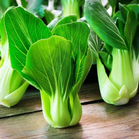 What is the difference between Beijing cabbage and Chinese cabbage