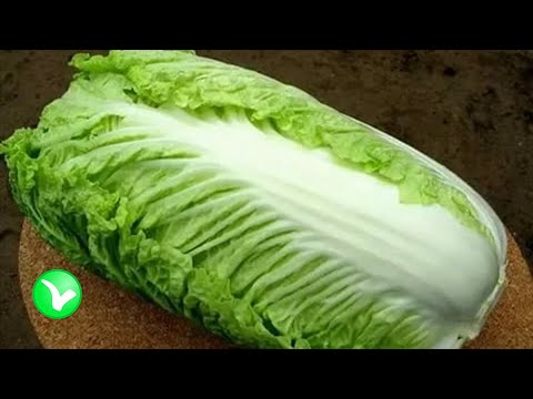 What is the difference between Beijing cabbage and Chinese cabbage