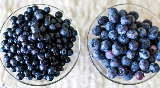 What is the difference between blueberries and blueberries