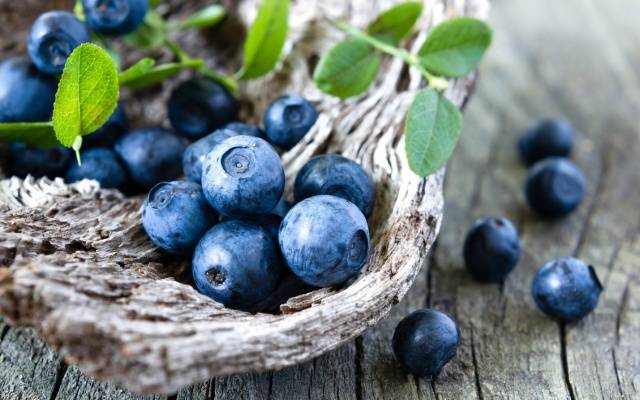 What is the difference between blueberries and blueberries