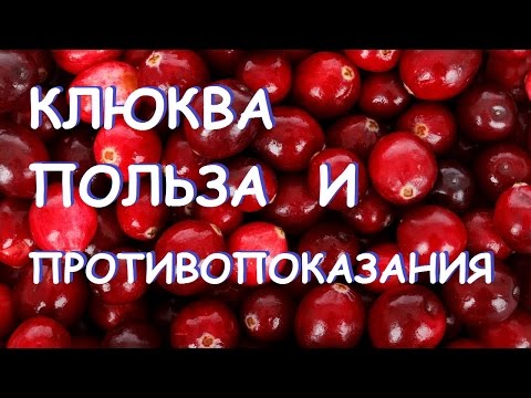 What is the difference between cranberries and cranberries