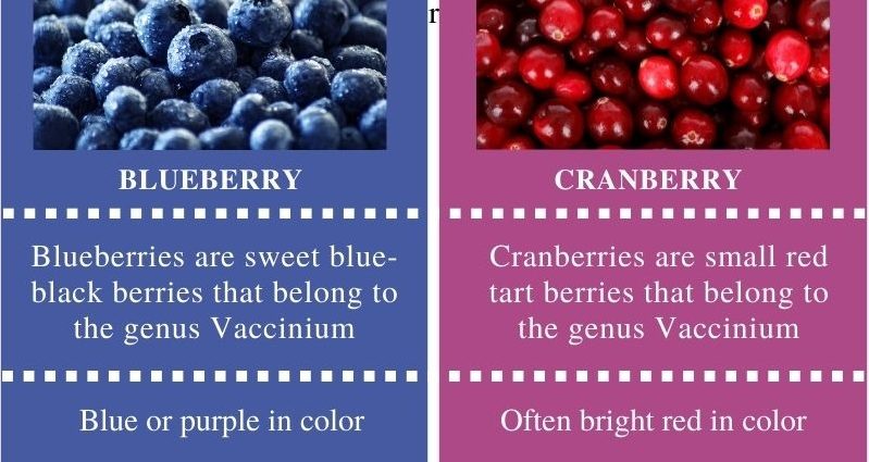 What is the difference between cranberries and cranberries