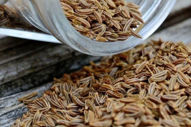 What is the difference between cumin and thyme (thyme)