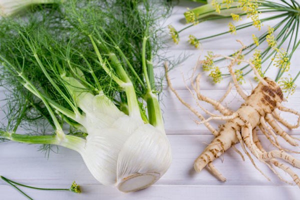 What is the difference between fennel and dill: from seeds to harvest