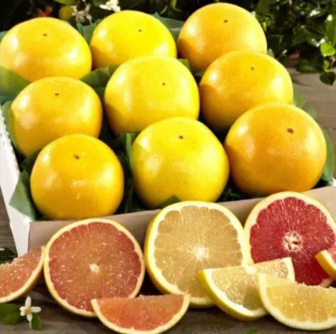 What is the difference between grapefruit and orange