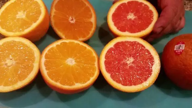 What is the difference between grapefruit and orange