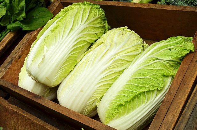 What is the difference between Iceberg lettuce and Beijing cabbage