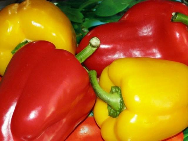 What is the difference between paprika and bell pepper