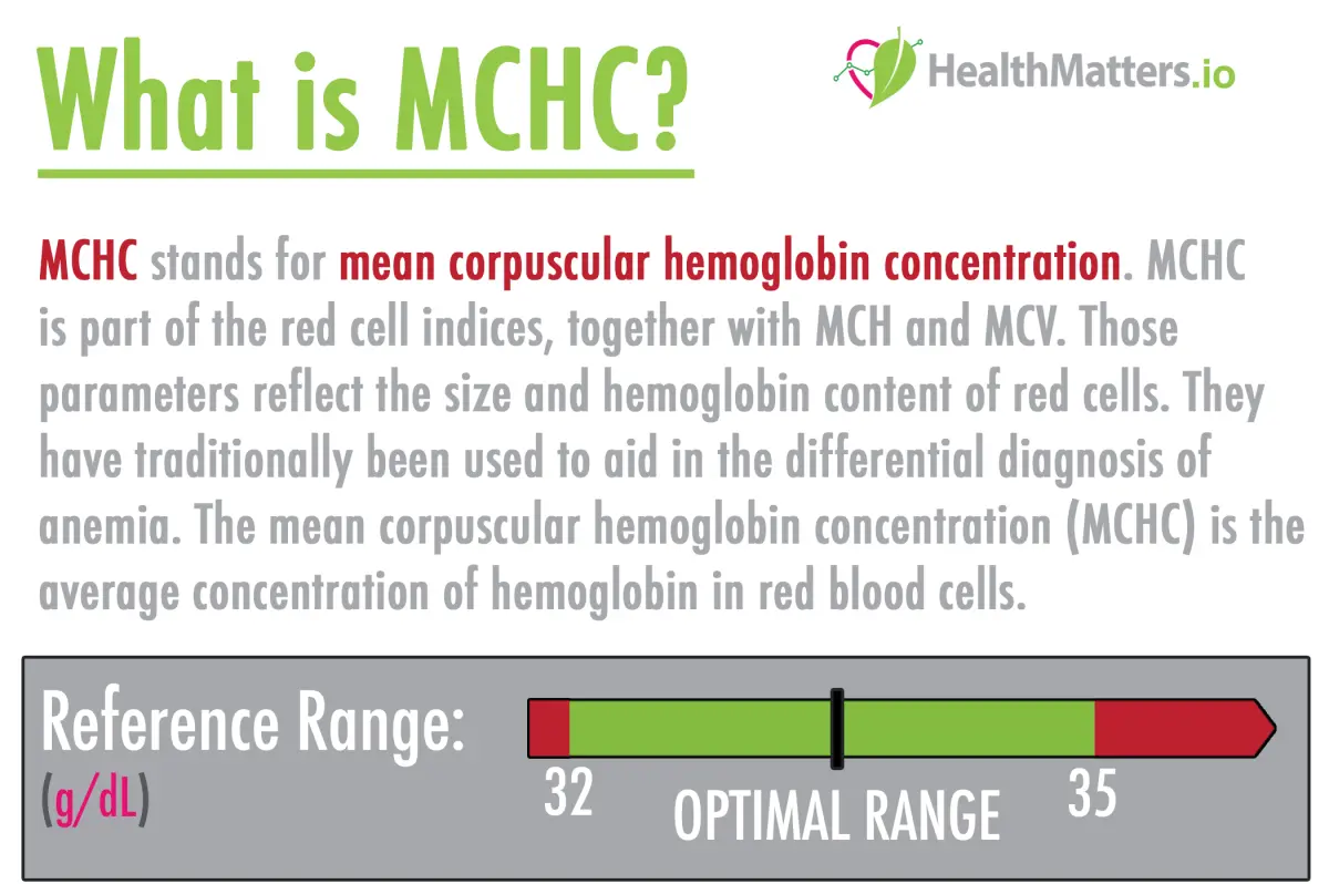 What is the evidence of an increased MCHC?