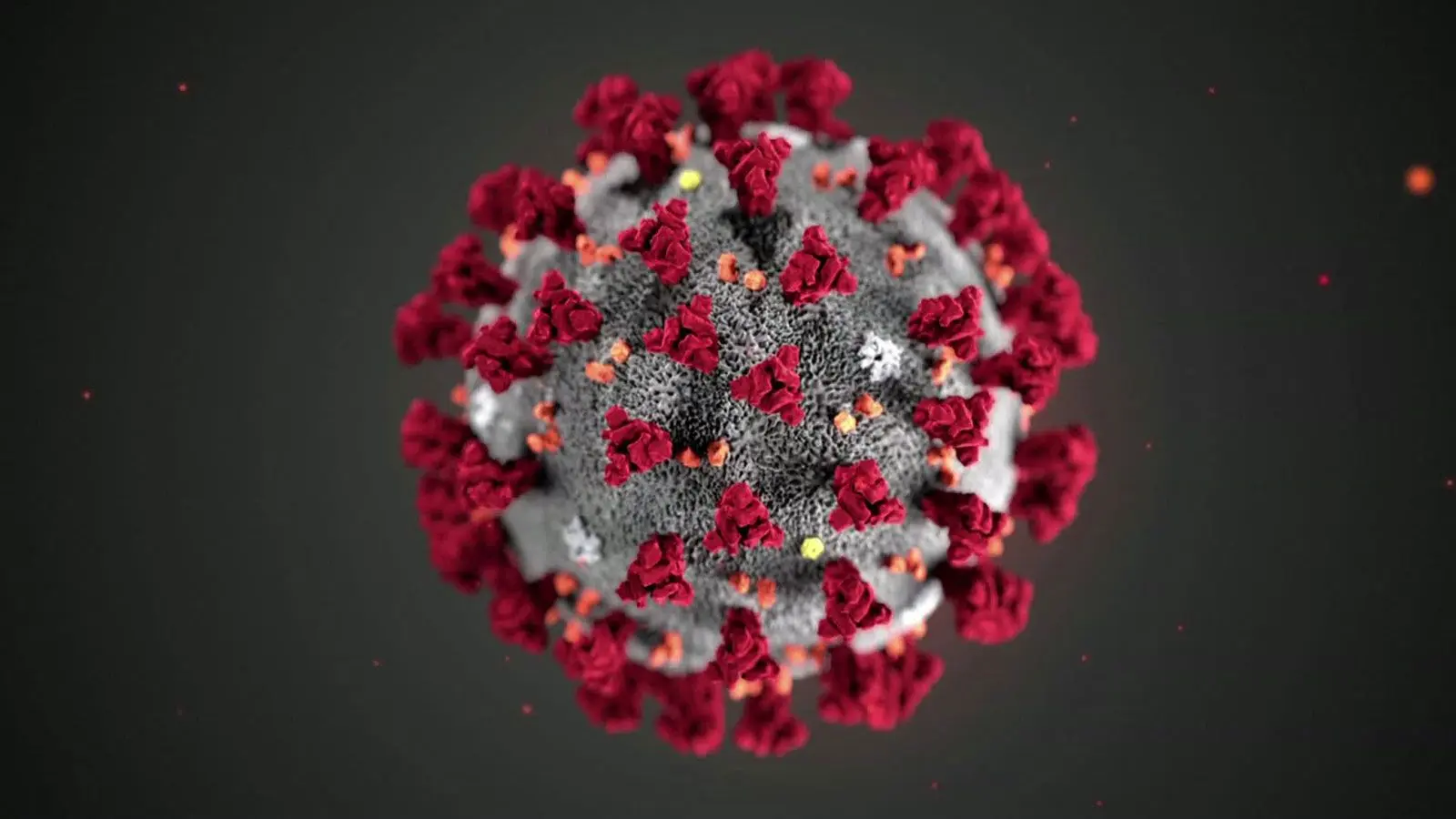 What is the infection with Omikron BA.5? Five Important Facts About the &#8220;Worst Mutation&#8221; [EXPLAINED]