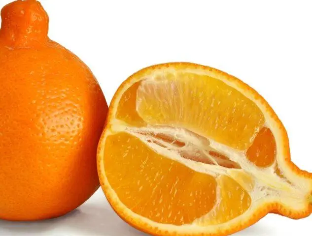 What is the name of the mixture of tangerine and grapefruit