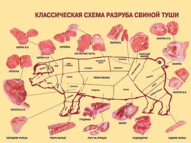 What is the yield of meat in pigs (in percent)