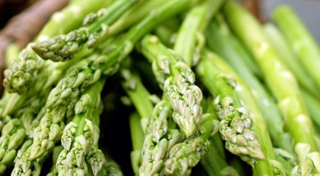 What is useful asparagus for men, women, pregnant women