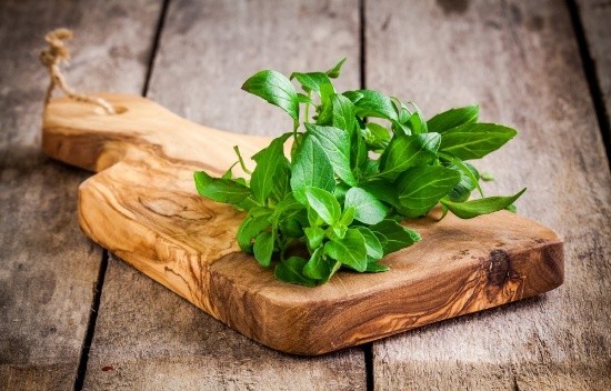 What is useful basil for the human body