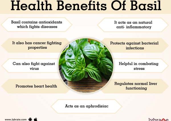 What is useful basil for the human body