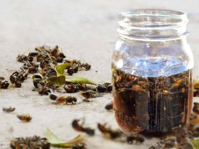 What is useful bee death for men