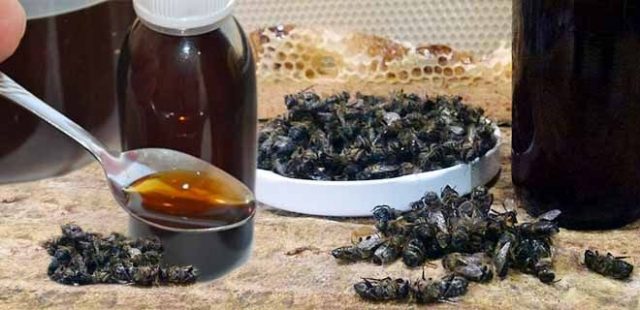 What is useful bee death for men